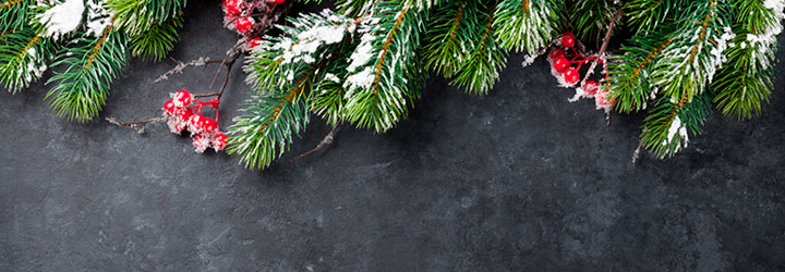 Recycle your Christmas tree Recycle your Christmas tree