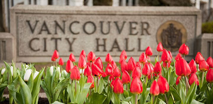 City Hall sign with tulips City Hall sign with tulips