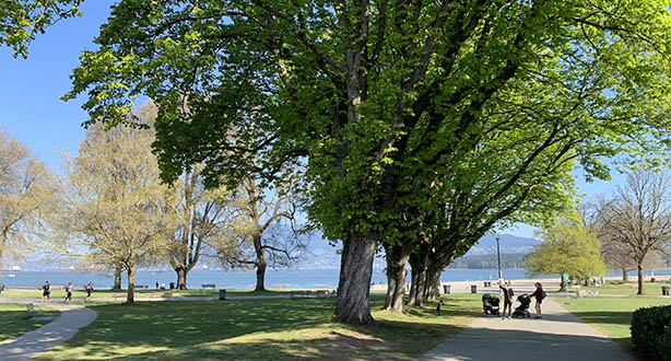 View of KitsilanoBeach Park from the Yew Street park entrance facing north. There is a shared walking and cycling path where two people with strollers are standing and talking. The path is lined by a row of trees leading to the beach and English Bay View of KitsilanoBeach Park from the Yew Street park entrance facing north. There is a shared walking and cycling path where two people with strollers are standing and talking. The path is lined by a row of trees leading to the beach and English Bay