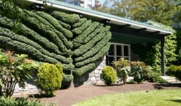 Vancouver Park Board Administration Office