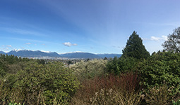 View from the top of Queen Elizabeth Park