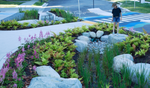 Person on pathway with vegetation and rocks around it
