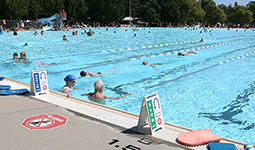 Rent a swimming pool lane